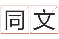 王同文免费八字在线预测-姓名三才五格