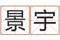 孟景宇郑姓宝宝取名-猪宝宝取名字姓王