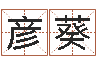 王彦葵起名测字公司-电脑测名打分