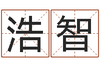 刘浩智在线三才五格-周易免费测公司名