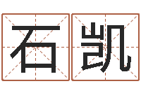 石凯电脑公司的名字-周易免费算命网