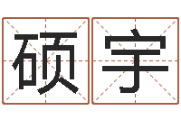 卫硕宇周易预测学-起名网