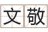 黄文敬按生辰八字免费起名-测试名字的指数