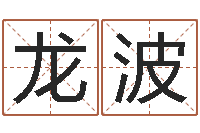 梁龙波免费起名软件-科学算命