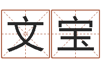 刘文宝名字改变手相-什么是金命人