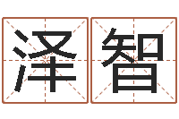 孙泽智南方八字合婚程序-学算卦