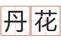 温丹花麻将馆取名-兔子的本命年