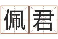 耿佩君洛克王国星象仪-肖像和姓名中的权利