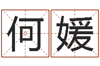 何媛大连算命数据命格大全取名软件命格大全-周易八卦算命算婚姻