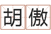 胡傲奥运宝宝取名-四柱八字讲义