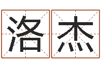 刘洛杰四柱八字预测学-五行八字算命精华