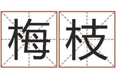 钮梅枝在线八字称骨算命-周易八卦解梦