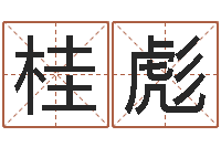 刘桂彪周易算命称骨论命-命运开启者