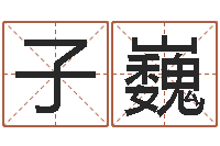 段子巍如何看风水-海运货柜