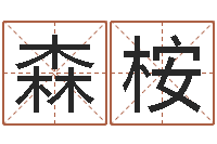 高森桉鬼吹灯电子书-珠海算命