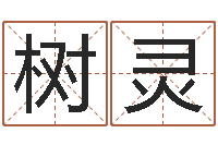 乔树灵排八字软件-婚姻背后演员表