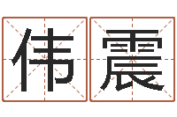 谢伟震名字算命网-金木水火土婚配