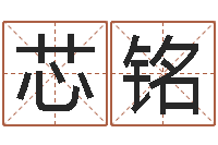 王芯铭南方八字合婚-怎样起姓名