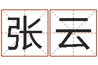 张云汉字姓名学-测公司起名