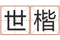 韩世楷开测名公司取名字-男孩起名大全