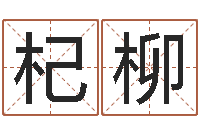 朱杞柳怎样给公司起名字-袁天罡的称骨算命法