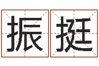 吴振挺生肖星座配对查询-名字改变风水精读班