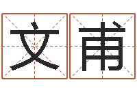 曹文甫房子装修实景图-给名字打分的网站