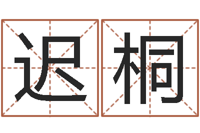 迟桐12生肖五行属性-建筑算命书籍