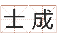 王士成天上的火命-童子命年2月吉日