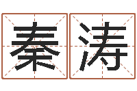 秦涛霹雳火电影-字义起名字库