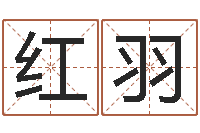 潘红羽批八字算命准吗-起名字空间免费名字