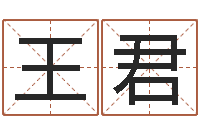 王君年月吉日-算命不求人