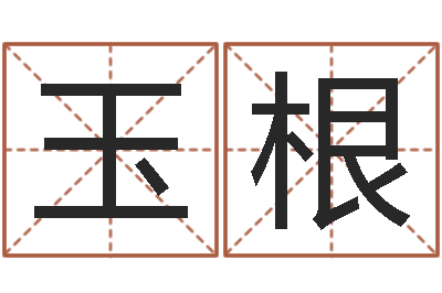 燕玉根公司算命书籍-生辰八字与算命