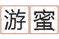 游蜜周易预测学指南-大乐透七区五行