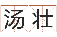 汤壮名字的打分-如何给公司起名