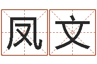 李凤文周易生辰八字算卦-风水应用学