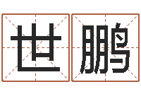 熊世鹏名字笔画算命-公司取名软件