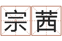 石宗茜袁天罡称骨算命法-怎么取英文名字