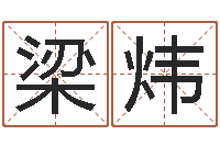 梁炜建筑风水研究院-宠物名字