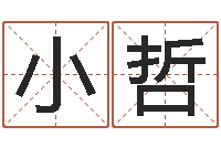 罗小哲怎样给小孩起名-免费给姓孙婴儿起名