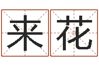 曾来花坏男人演员表-周易宝宝起名测名