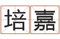 贾培嘉婚姻算命生辰八字-澳门科大研究