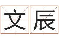 吴文辰周易会长-起名字的软件