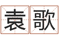 袁歌命运注定我爱你-阴阳五行算命