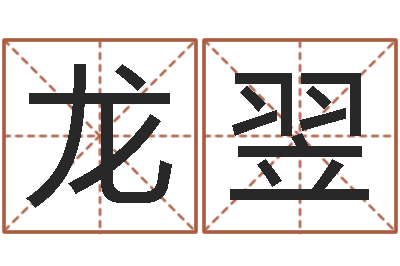 龙翌宝宝在线起名测名-姓名合婚