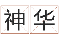 李神华鼠年男孩名字大全-关于诸葛亮的命局资料