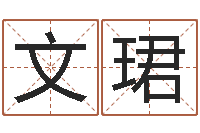 王文珺吉祥物-生辰八字算命婚姻