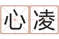 冉心凌免费四柱八字预测-免费算婚姻