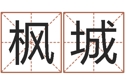 张枫城婚姻保卫战在线观看-心理测试命格大全