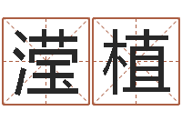 蔡滢植免费算命属相婚配-诸葛亮三气周瑜的故事